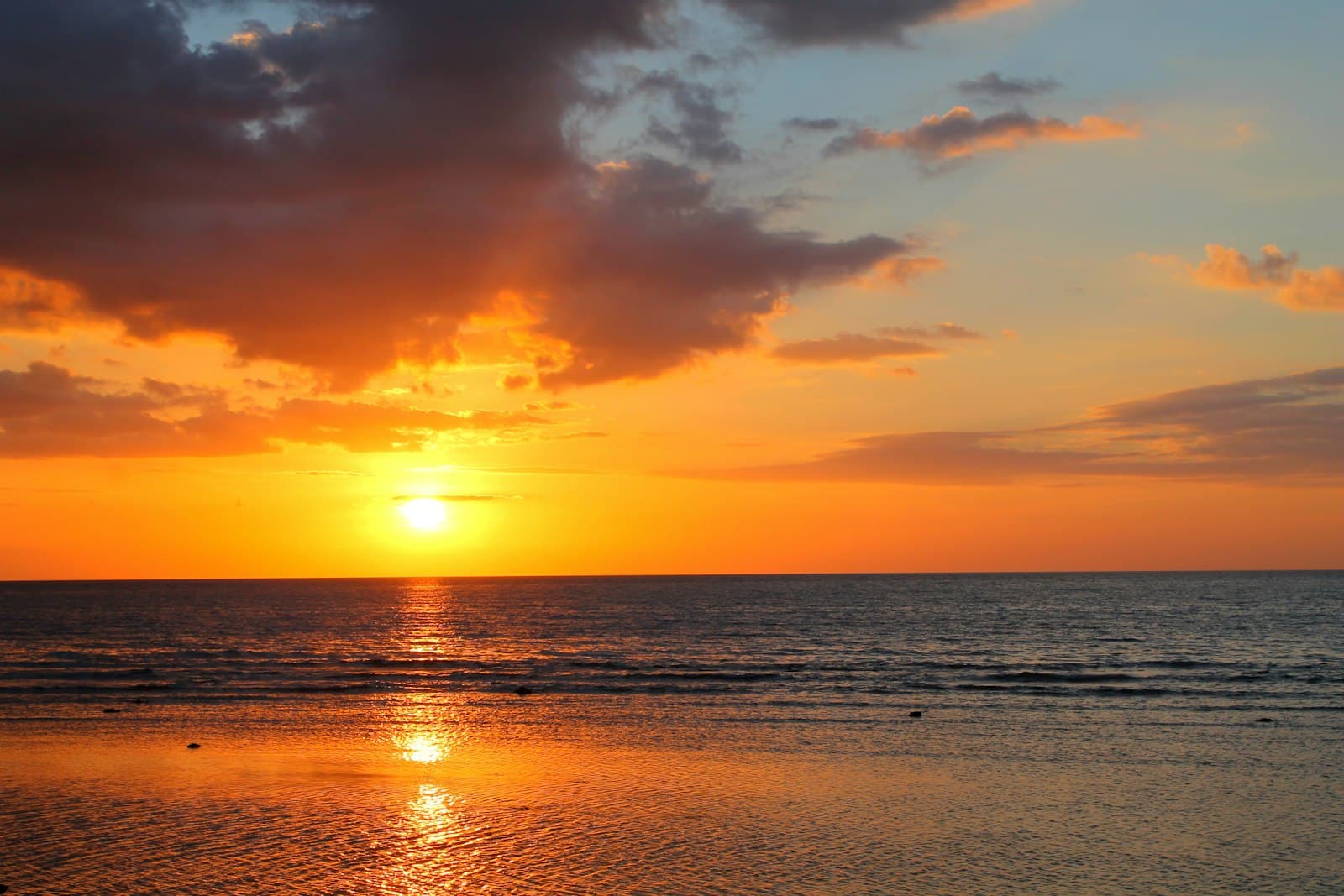 Bali Dreams